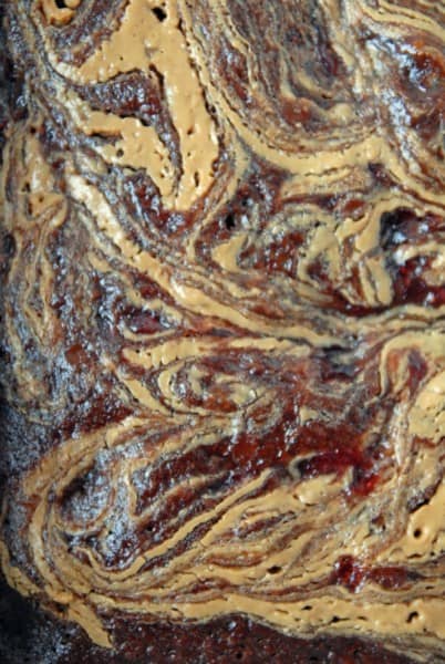 Peanut Butter and Strawberry Jam Swirled Cocoa Brownies